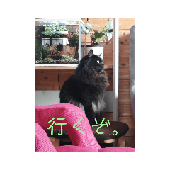 NORA_20210823212021
