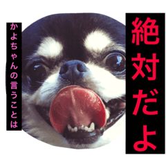 I'm KAYO!