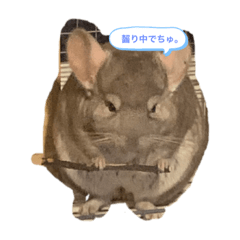 chan_20210823221936