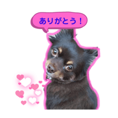 Kanae_20210823222155