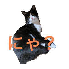 Kanae_20210823230353