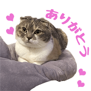 TONMAN TOKKU YUKI NEKO'S Sticker