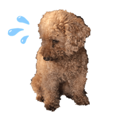 nami_2021082412440608014