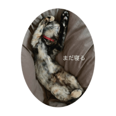 grace_20210824002520