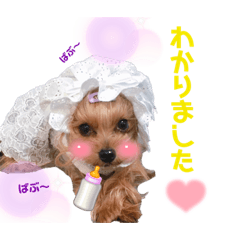 aran_20210824125351
