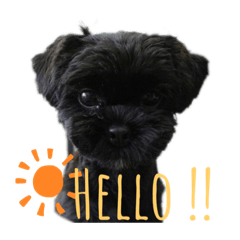 Himawari_20210824152745