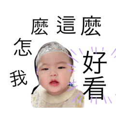 凱寶的表情包