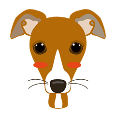 Italian greyhoundy with red&white
