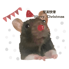 3個月的花枝丸章魚燒