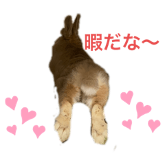 azu_20210824174107