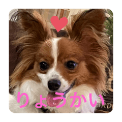 kazuki_20210824135359