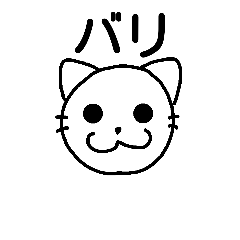 Japanese bou cat 8 hakata