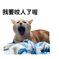 席烙與月月的日常