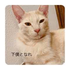 grace_20210824215849