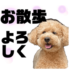 naho_20210824220029
