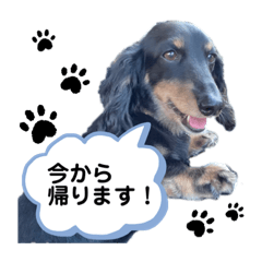 ayumi_20210824184055