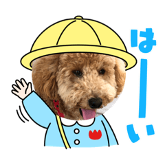koko_20210824192206