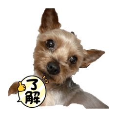 Naho_20210824210744