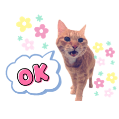 unagi_20210824181433 - Stiker LINE | LINE STORE