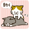 Cute cat 'Cyanpachi'. animation1