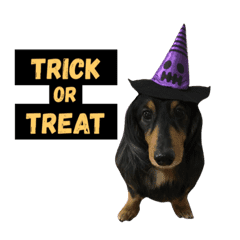 ハロウィン衣装の犬 Line スタンプ Line Store ハロウィン衣装の犬 Line スタンプ Line Store