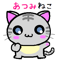 Atsumi cat