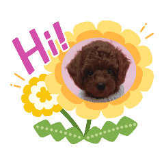 業務 日常 隨口