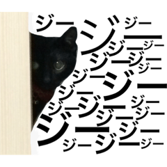 Cat and Kurume dialect