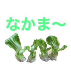 Tori_20210824235023