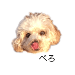 momoko_20210825011448