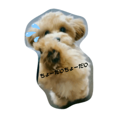 Ayumi_20210825092343