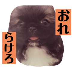kero_20210825011218