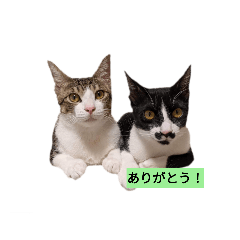 Kazuki_20210825111443