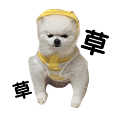 monaka_20210825142158