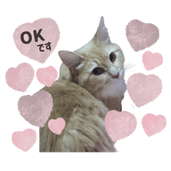 riku__coton sticker