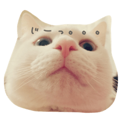 ISOBE MOCHI