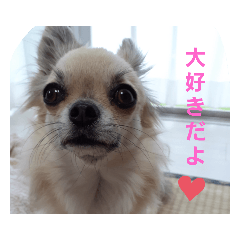 kanae_20210825153905