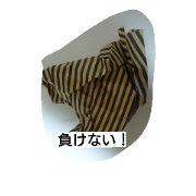 gucha