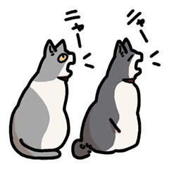 Cat Sisters' Diary