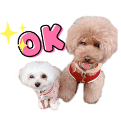 yamada_20210825175240