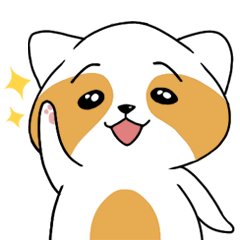 raccoon mon