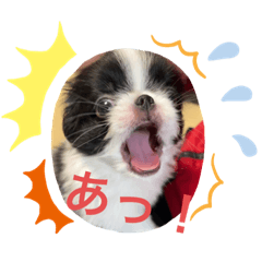 Japanese Chin's daily life stamp 6