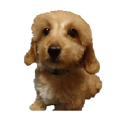 "Maru"chan