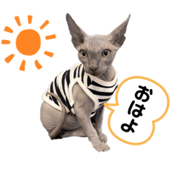 nekosaku_20210825222322