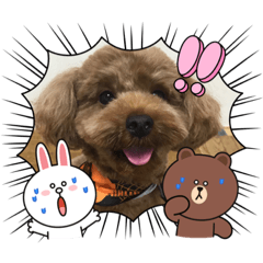 junko_20210825224917