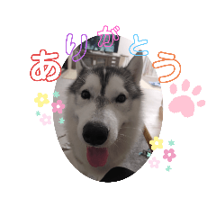 ayano_20210825233432