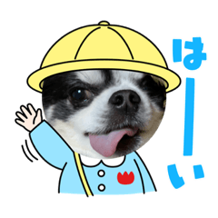 hana_20210825182922