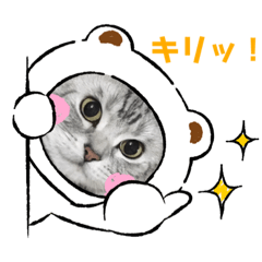 Suzu_20210825183147