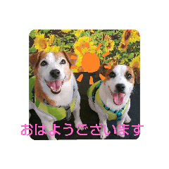 tomomi_20210826101510