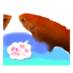 Hokori_20210825201224